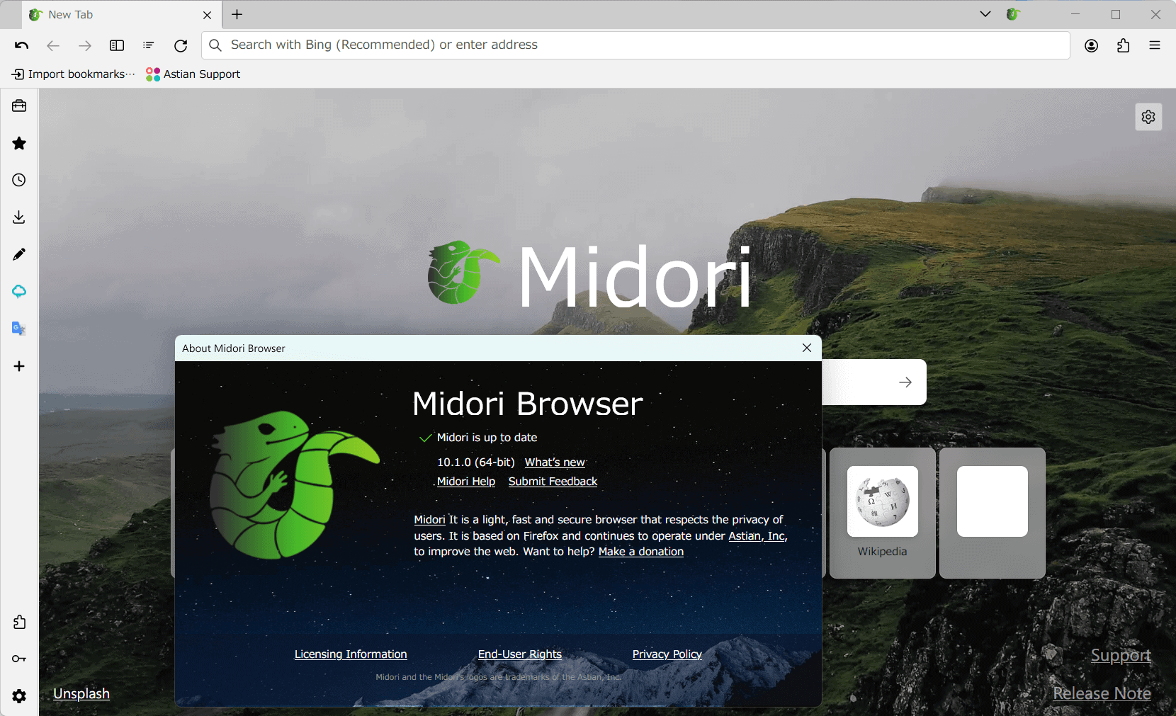 Midori Web Browser