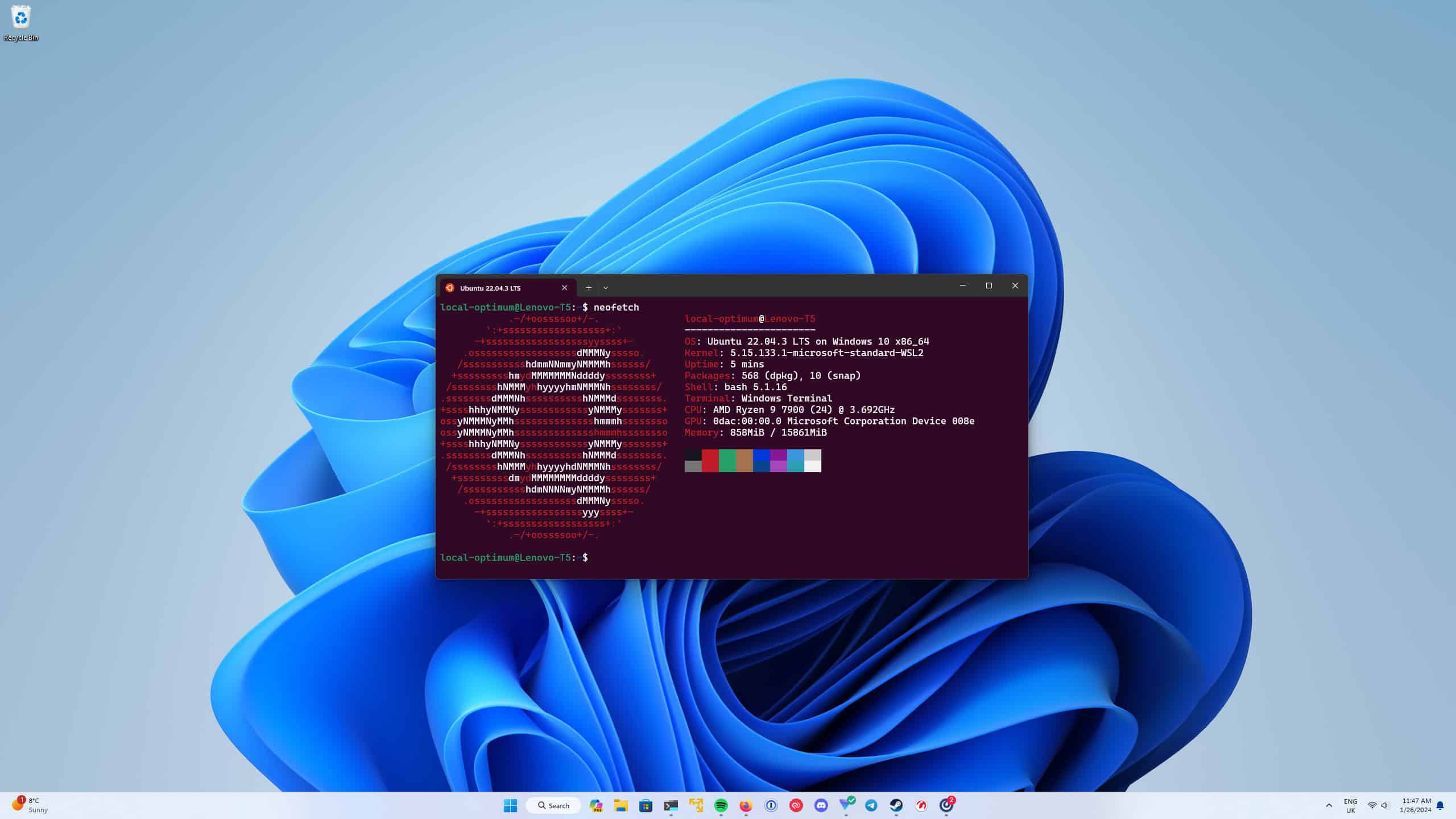 Linux WSL Ubuntu