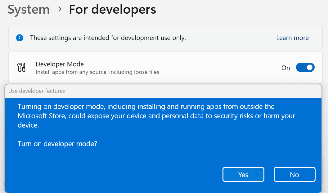 Windows 11 Developer