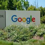 a google sign in front of some bushes and trees